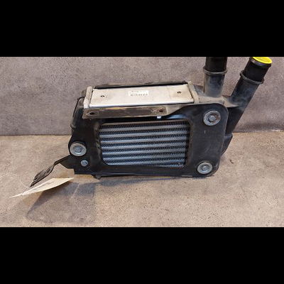 Echangeur air Fiat PANDA (169_) 1.3 d multijet (169.axc1a) (2003) 5 portes