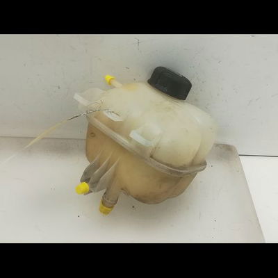 Vase expansion Mini MINI (R56) One (2009-2010)