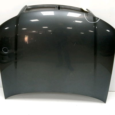 Capot Audi A4 B6 (8E2) 2.5 tdi quattro (2000-2004)