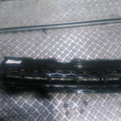 Calandre Land rover RANGE ROVER EVOQUE (L538) 2.0 4x4 (2011-2019)