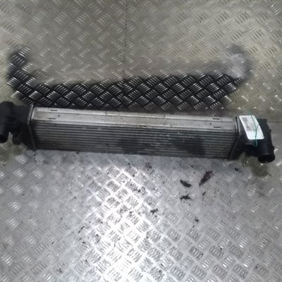 Echangeur air Renault VEL SATIS (BJ0_) 2.0 dci (bj03, bj0b) (2006)