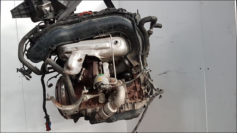 Moteur complet Ford C-MAX II (DXA-CB7, DXA-CEU) 2.0 tdci (2010-2019)