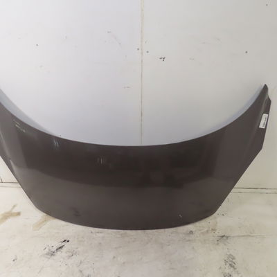 Capot Renault SCÉNIC III (JZ0-1_) 1.5 dci (jz02, jz0r) (2010)