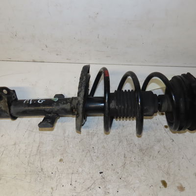Amortisseur avant gauche Renault CLIO III (BR0-1, CR0-1) 1.6 16v (br05, br0b, br0y, br15, br1j, br1m, br1y, cr0b,... (2005-2014)