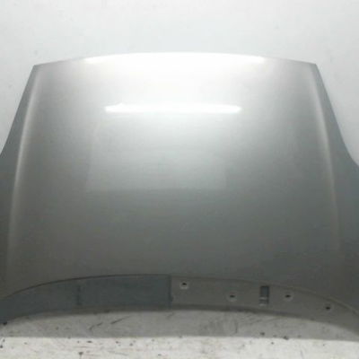 Capot Fiat PUNTO EVO (199_) 1.2 (2009-2012)