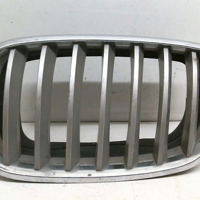 Grille calandre g Bmw X6 (E71, E72) Xdrive 40 d (2009-2014)
