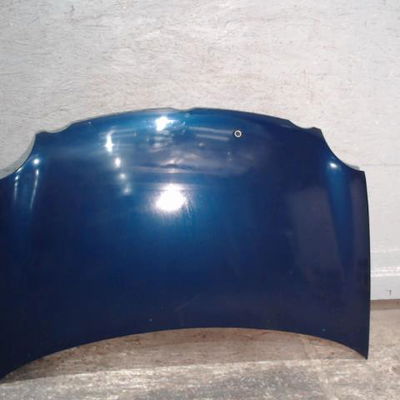 Capot Volkswagen POLO (9N_, 9A_) 1.4 tdi (2001-2005)