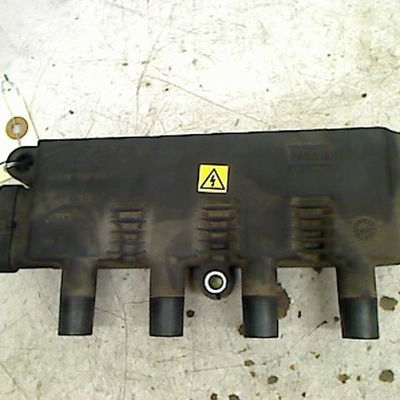 Bobine allumage Fiat 500 (312_) 1.2 (312axa1a) (2007) 3 portes