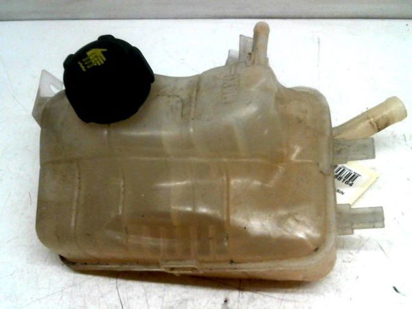 Vase expansion Renault MEGANE III 3-5 portes (BZ0-1_, B3_) 1.2 tce (bz2b, bz11) (2012-2015) 5 portes