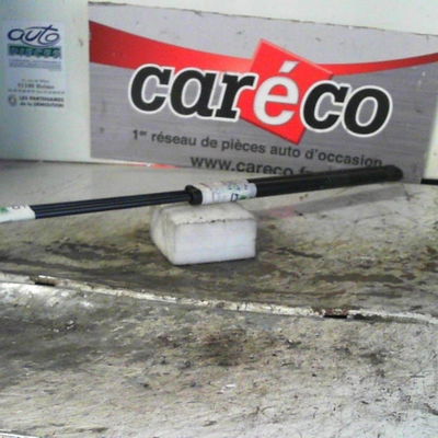 Verin d capot Mini MINI (R50, R53) Cooper (2001-2006) 3 portes