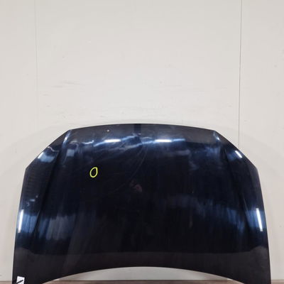 Capot Volkswagen POLO (9N_, 9A_) 1.4 tdi (2001-2005) 3 portes