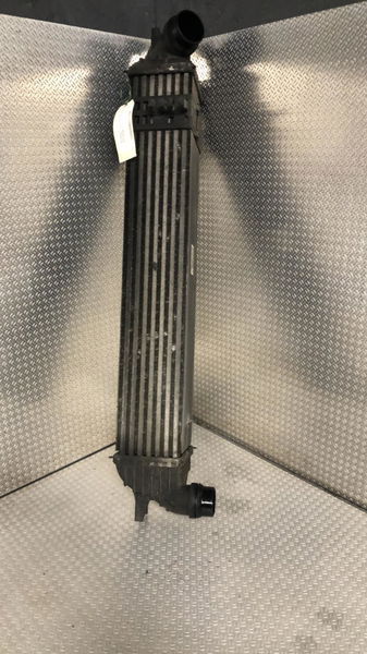 Echangeur air Renault LAGUNA III (BT0-1) 2.0 dci (bt0m, bt0n, bt0s, bt19, bt1f) (2008-2015)