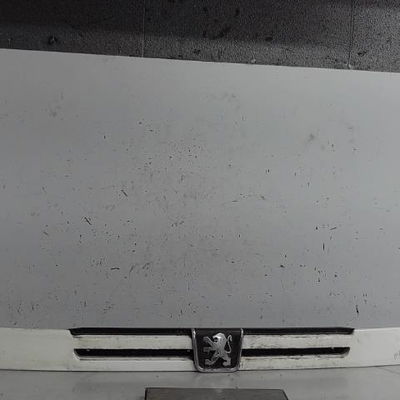 Calandre Peugeot BOXER Camion plate-forme-Châssis (ZCT_) 1.9 d (1994-2002)