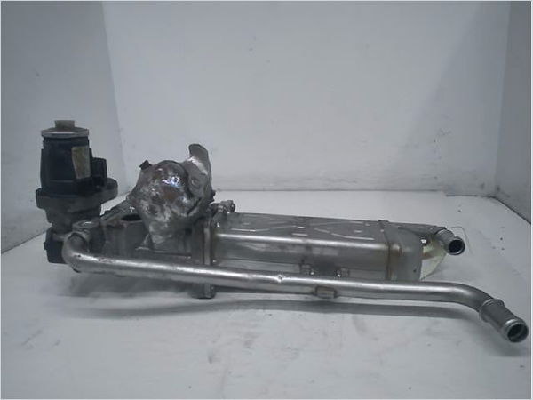 Vanne egr Volkswagen POLO V (6R1, 6C1) 1.6 tdi (2009) 5 portes