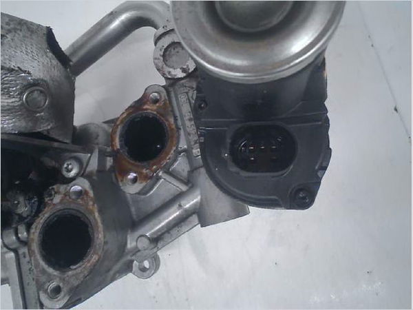 Vanne egr Volkswagen POLO V (6R1, 6C1) 1.6 tdi (2009) 5 portes
