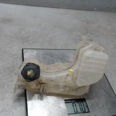 Vase expansion RENAULT LAGUNA 3