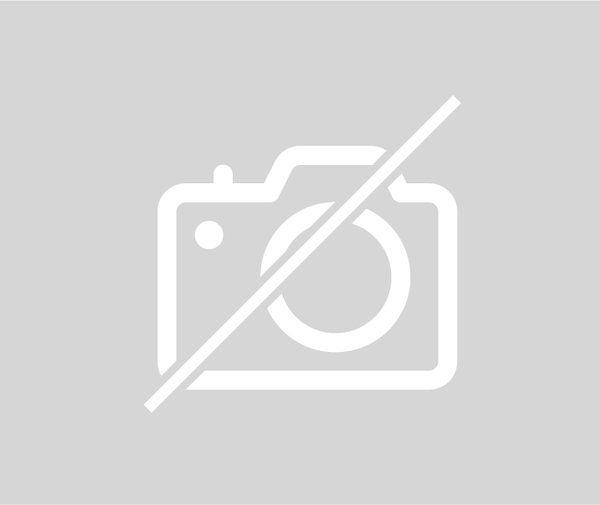 Plafonnier RENAULT MASTER 3  MASTER 3 PHASE 3