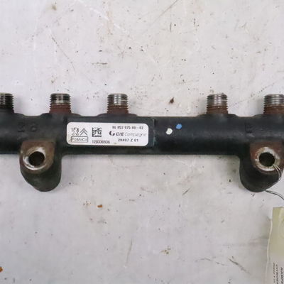 Rampe injection Citroën C3 II (SC_) 1.4 hdi 70 (sc8hzc, sc8hr0, sc8hp4) (2009) 5 portes