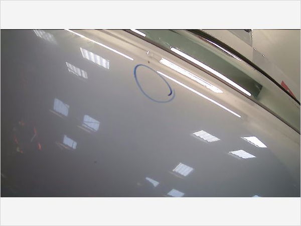Porte avant gauche RENAULT CLIO CAMPUS II