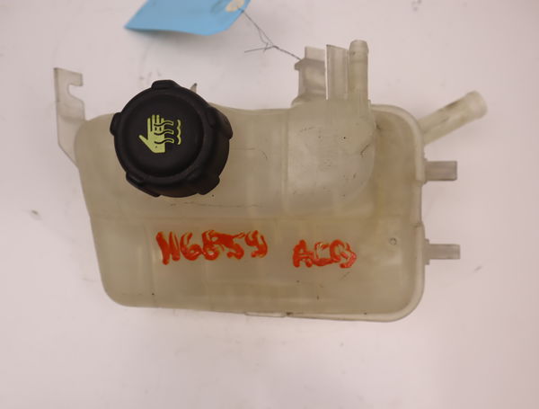 Vase expansion Renault MEGANE III Coupé (DZ0-1_) 2.0 tce (dz1n) (2009)