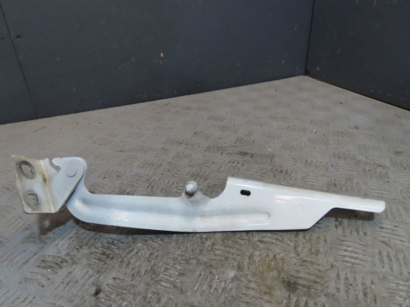 Compas d capot Renault KANGOO Express (FW0-1_) 1.5 dci 75 (fw07, fw10, fw04) (2010) 4 portes