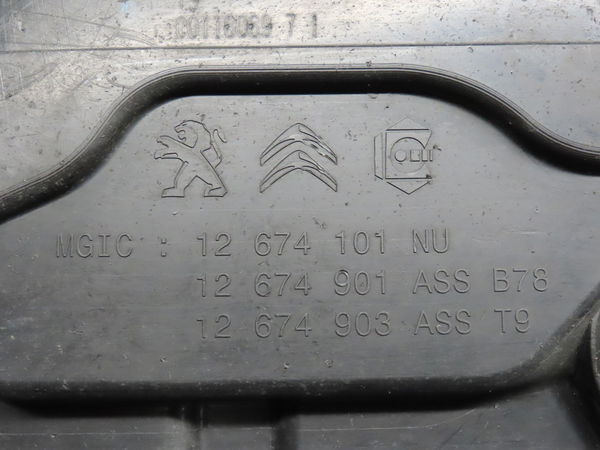 Reservoir fap Peugeot 308 SW II (LC_, LJ_, LR_, LX_, L4_) 1.6 bluehdi 100 (2014-2021)