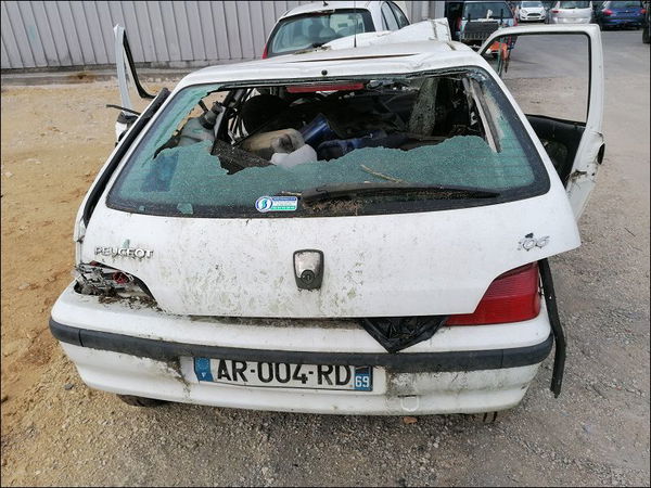 Moteur diesel Volkswagen GOLF V (1K1) 1.9 tdi (2003-2008)