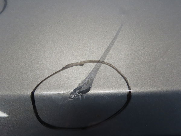 Pare-choc arrière Opel CORSA D (S07) 1.3 cdti (l08, l68) (2006-2014) 5 portes