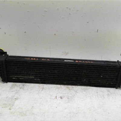 Echangeur air Renault LAGUNA II (BG0-1_) 1.9 dci (bg1a, bg1w, bg0g) (2005-2007)