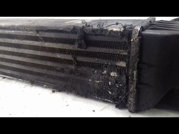 Echangeur air Bmw 5 (E39) 525 d (2000-2003)