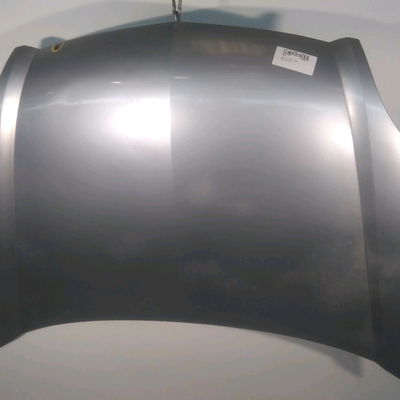 Capot Renault KANGOO (KC0-1_) 1.5 dci (kc07) (2001)
