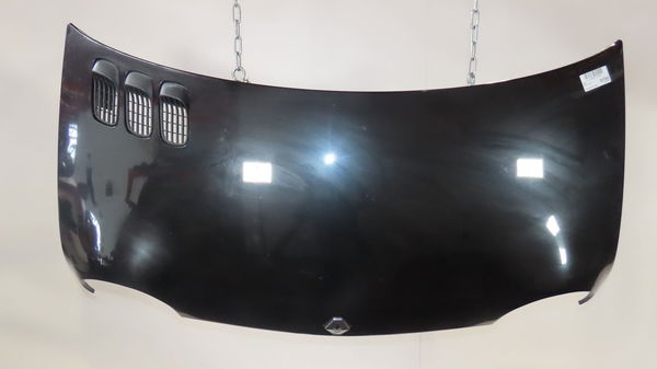 Capot Renault TWINGO I (C06_) 1.2 (c066, c068) (1996-2007) 3 portes