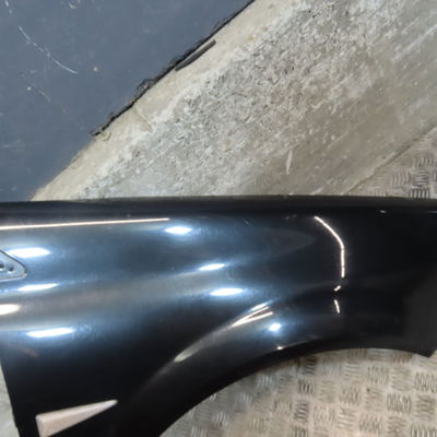 Aile avant droite Renault MEGANE II (BM0-1_, CM0-1_) 1.6 16v (bm0c, cm0c) (2002-2008)