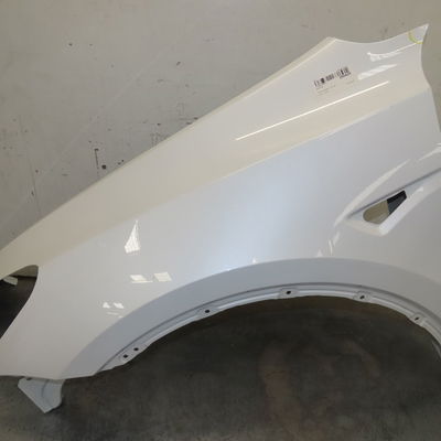 Aile avant gauche Tesla MODEL Y (5YJY) Ev traction intégrale (2021) 5 portes