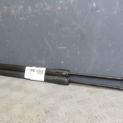 Verin gauche hayon Renault MODUS - GRAND MODUS (F-JP0_) 1.5 dci (fp0d, jp0d) (2004)