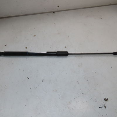 Verin gauche hayon Renault CLIO V (B7_) 1.0 sce 65 (b7mg) (2021)