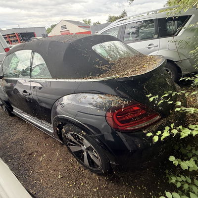 Capote Volkswagen BEETLE (5C1, 5C2) 1.4 tsi (2011-2016)