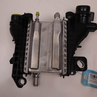 Echangeur air Renault KANGOO Express (FW0-1_) 1.5 dci 95 (fw16) (2019)