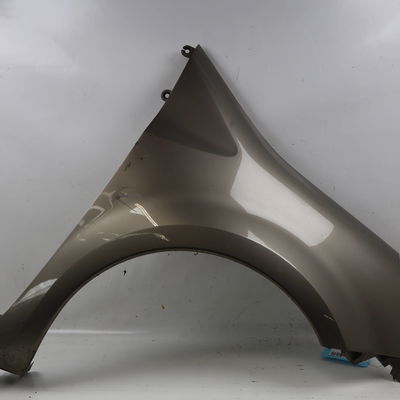 Aile avant droite Renault MODUS - GRAND MODUS (F-JP0_) 1.2 (jp0c, jp0k, fp0c, fp0k, fp0p, jp0p, jp0t) (2004) 5 portes