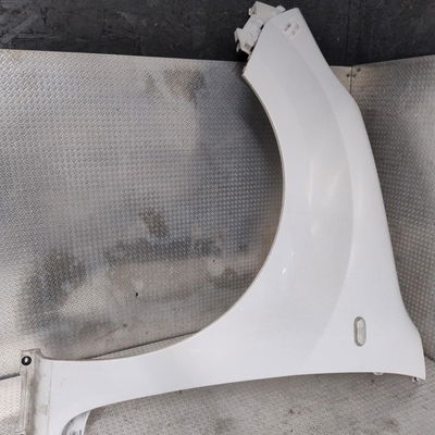 Aile avant gauche Renault KANGOO Express (FW0-1_) 1.5 dci 75 (fw07, fw10, fw04) (2010) 4 portes
