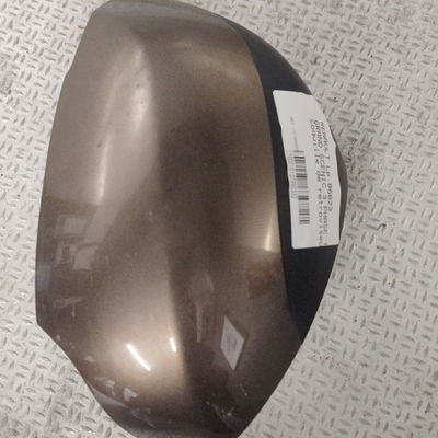 Carenage retroviseur ext g Renault GRAND SCÉNIC III (JZ0-1_) 1.5 dci (2009) 5 portes