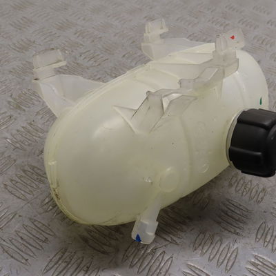 Vase expansion Renault TRAFIC III Camionnette (FG_) 1.6 dci 120 (fgmk) (2015)