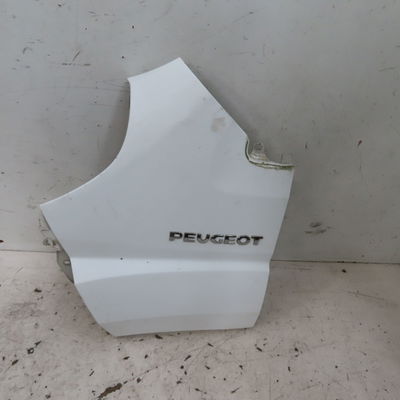Aile avant gauche Peugeot BOXER Camionnette 2.2 hdi 100 (2006)