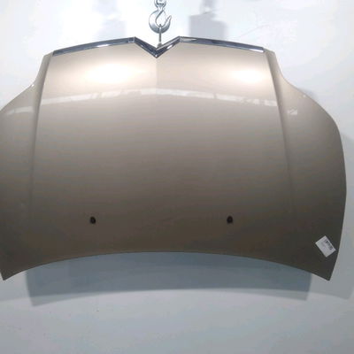 Capot Citroën C4 I (LC_) 1.6 16v (2004-2011) 5 portes