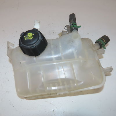 Vase expansion Renault SCÉNIC III (JZ0-1_) 1.5 dci (2009) 5 portes