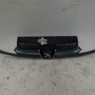 Calandre Peugeot 206 (2L_, 2M_) 1.4 i (2lkfwa, 2mkfwa) (2009-2013) 3 portes