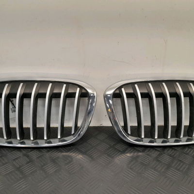 Calandre Bmw X1 (F48) Xdrive 20 d (2015)