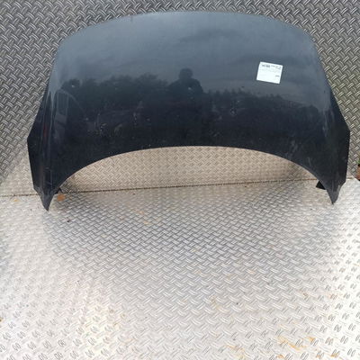 Capot Renault SCÉNIC III (JZ0-1_) 1.9 dci (jz0j, jz1j, jz1k, jz1s) (2009)