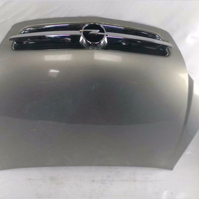 Capot Opel VECTRA C GTS (Z02) 1.9 cdti (f68) (2004-2009)