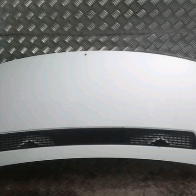 Capot Fiat SCUDO Camionnette (270_, 272_) 1.6 d multijet (2007-2016)